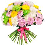 Хризантемы одноголовые