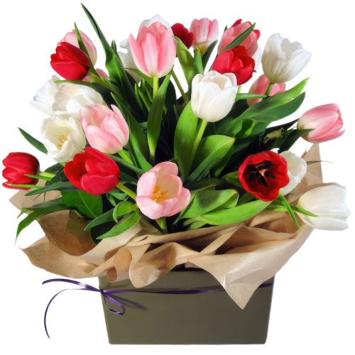 Цветы в коробке «Утренний бриз»